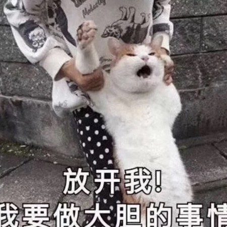 xiaoliuhua's avatar
